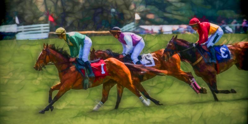 Horse raising