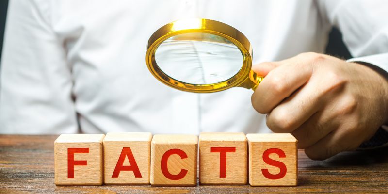 "Blocks that spell facts