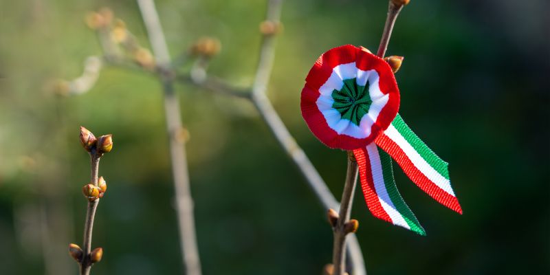  tricolor rosette on spring tree with bud symbol of the hungarian national day 15th of march