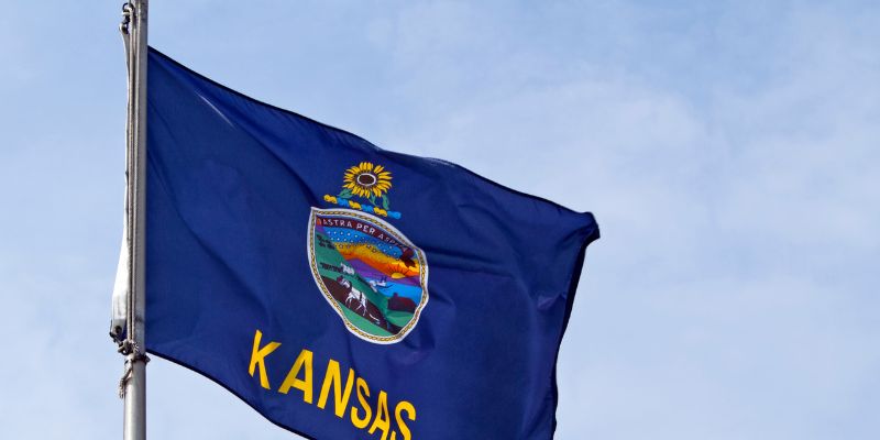 Kansas State Flag