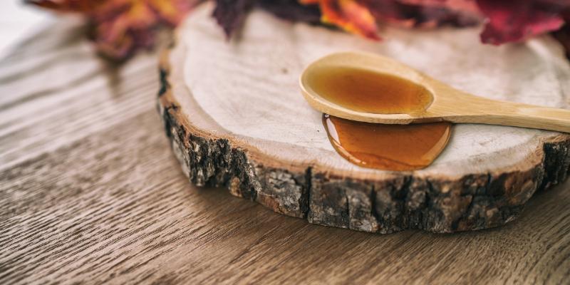 Maple Syrup Sugar Liquid in Wooden Spoon from Quebec Restaurant Sugar Shack Called Cabane a Sucre Maple Trees Sap Farm.