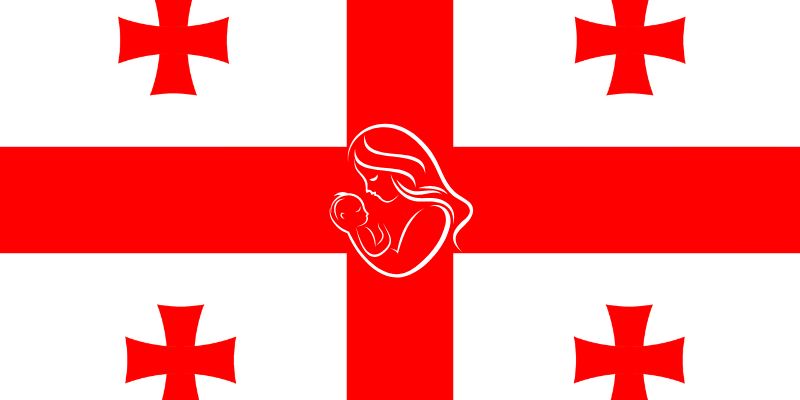 Georgia flag with a symbol of a mother and child on it.