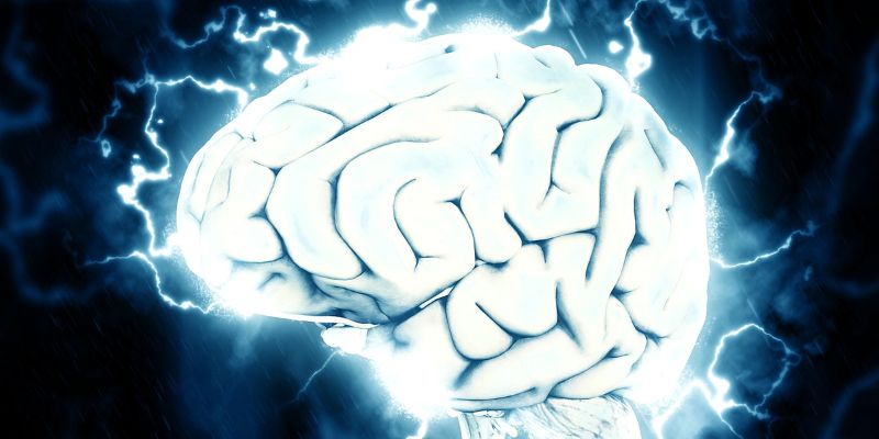 An image of a brain