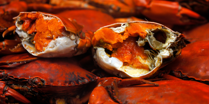 A plate of crab meat