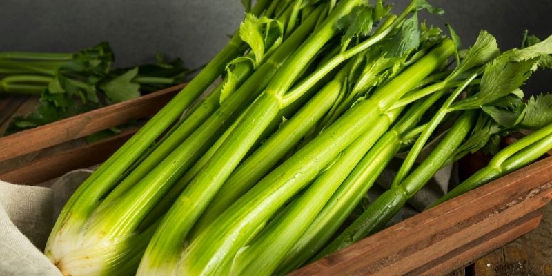 Stalks of celery