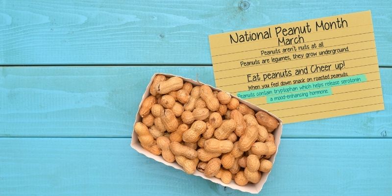 Peanuts and an index card with national peanut month march on it on a blue wooden background