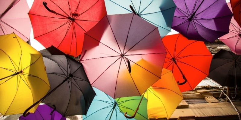 A variety of umbrella
