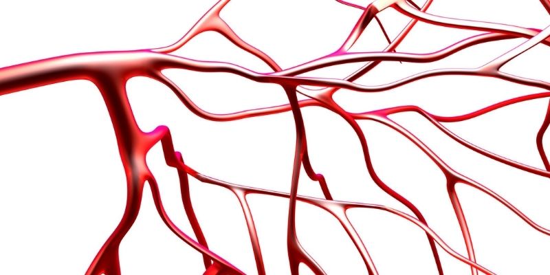 Clossup illustration of veins