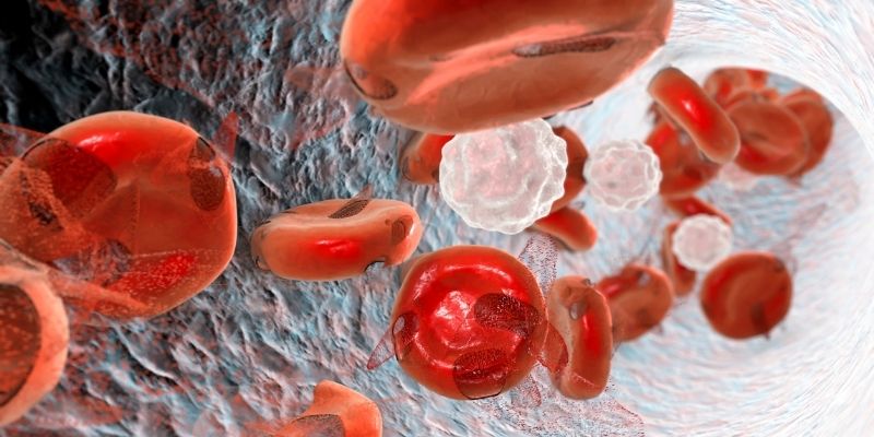 Blood cells