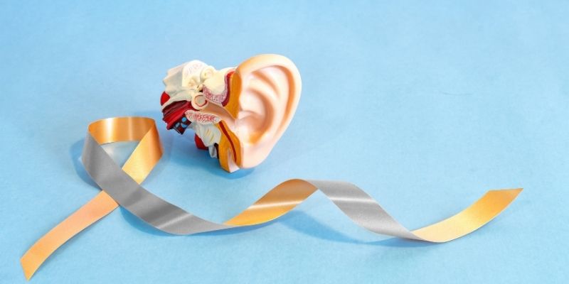 a yellow and silve ribbon next to a model of an ear