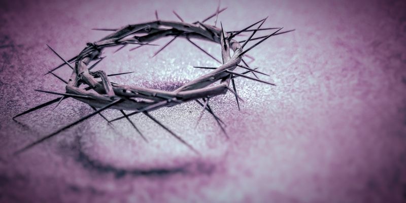 A crown of thorns