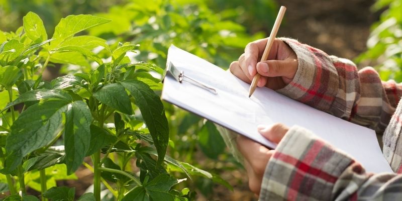 Someone taking notes in a field.