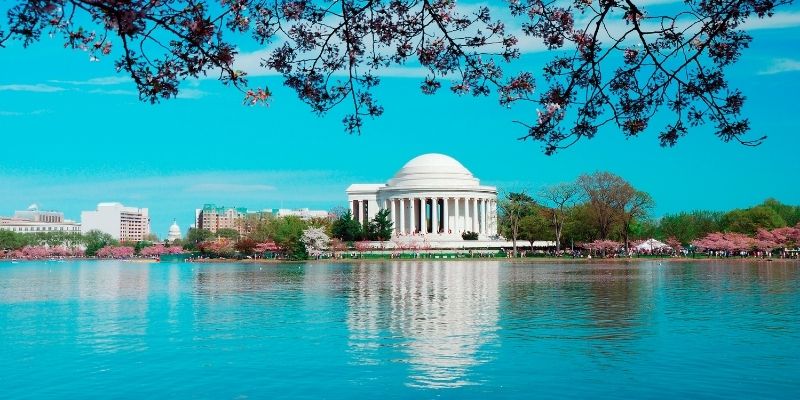 Photo of the capital with chery blossoms