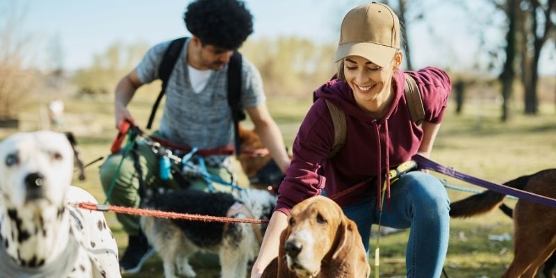 To people dog walking