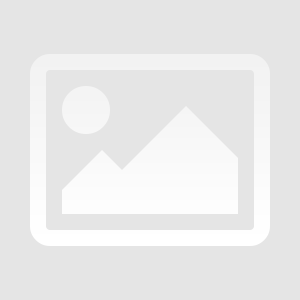  2025 Life Coach Content Helper 
